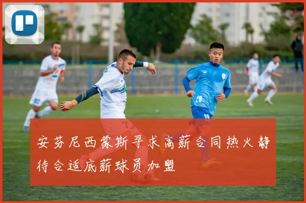 安芬尼西蒙斯寻求高薪合同热火静待合适底薪球员加盟